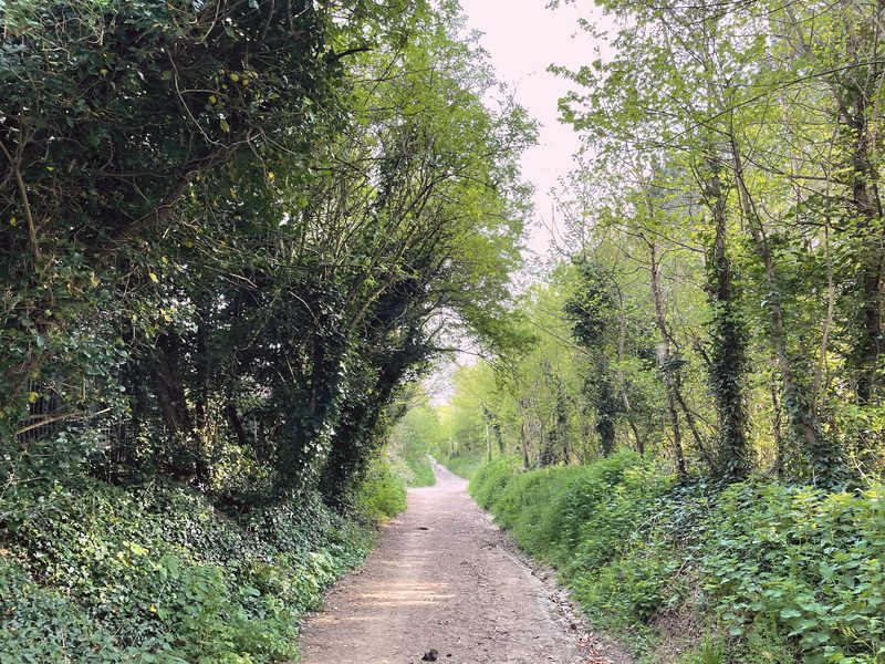 Our lane becomes a footpath onto the Downs