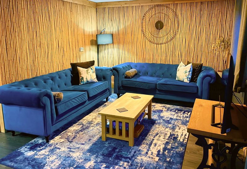 The two velvet sofas