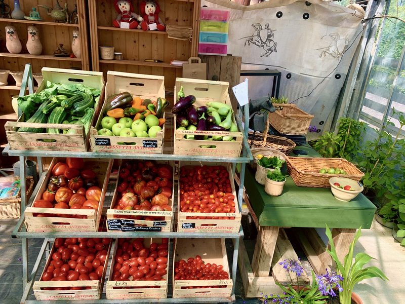 Tomatoes, courgettes and aubergines at the stall