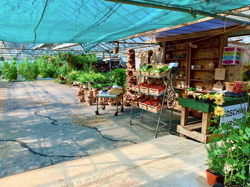 The produce stall in summer