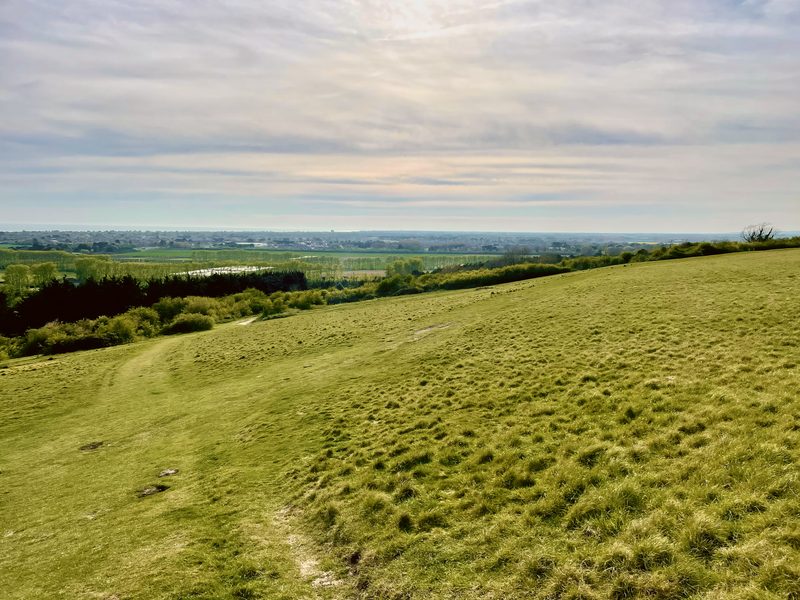 Open downland at the top of the lane